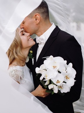 nyc luxor limo 3.jpg